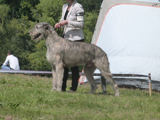 Vischio del velino